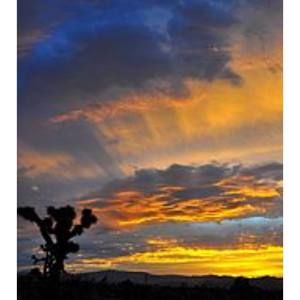 Meet your Posher, Walker